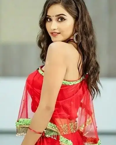 Call Girls Service Dhansura